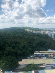 Regent Heights (D23), Condominium #607372941